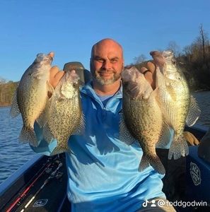 Meet your Posher, Todd